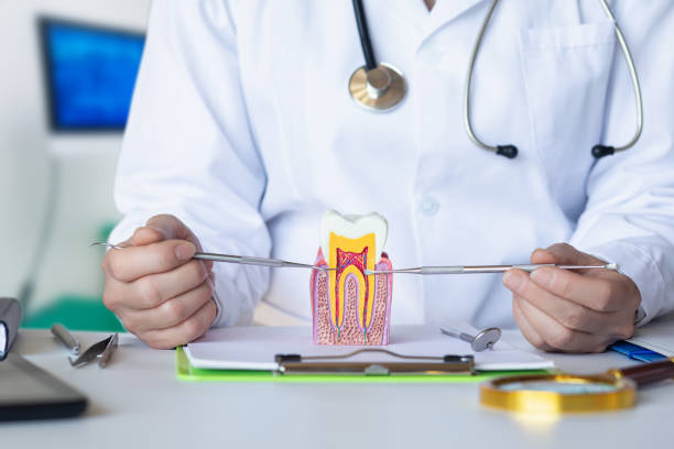 Best Emergency Tooth Extraction in Lynn Haven, FL